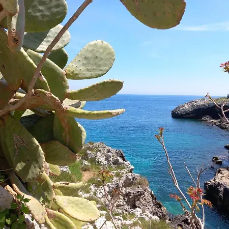 Apartment Il Cappero, Sul Mare *