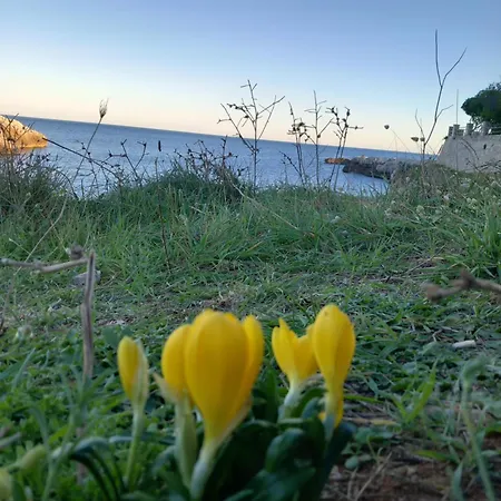 Apartment Il Cappero, Sul Mare *